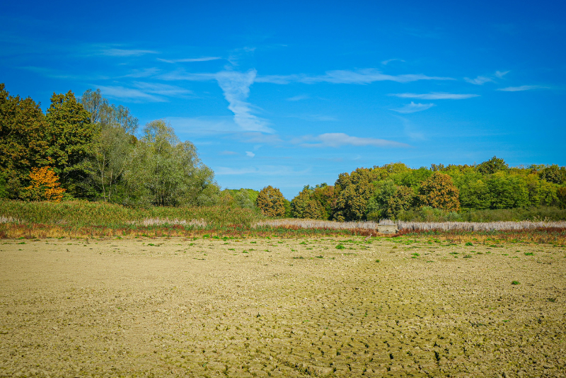 Boniteta zemljišča